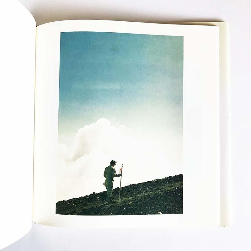 Seeing Birds by RIKA NOGUCHI鳥を見る 野口里佳 写真集 - 古本買取 2