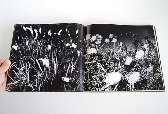 植物に 山村雅昭 写真集 PLANTS Gasho Yamamura - 古本買取 2手舎/二手