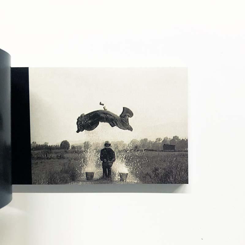 VISIONAIRE No.39 PLAY collaboration with SONYヴィジョネア 第39号