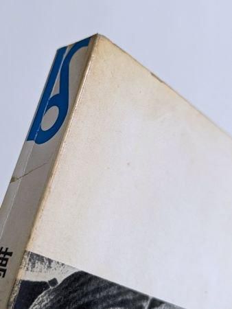 美術選書 夢の宇宙誌 コスモグラフィアファンタスティカ 澁澤龍彦 美術