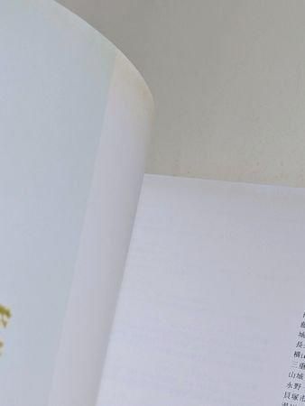 別冊太陽 神像の美 すがたなきものの、かたち 平凡社