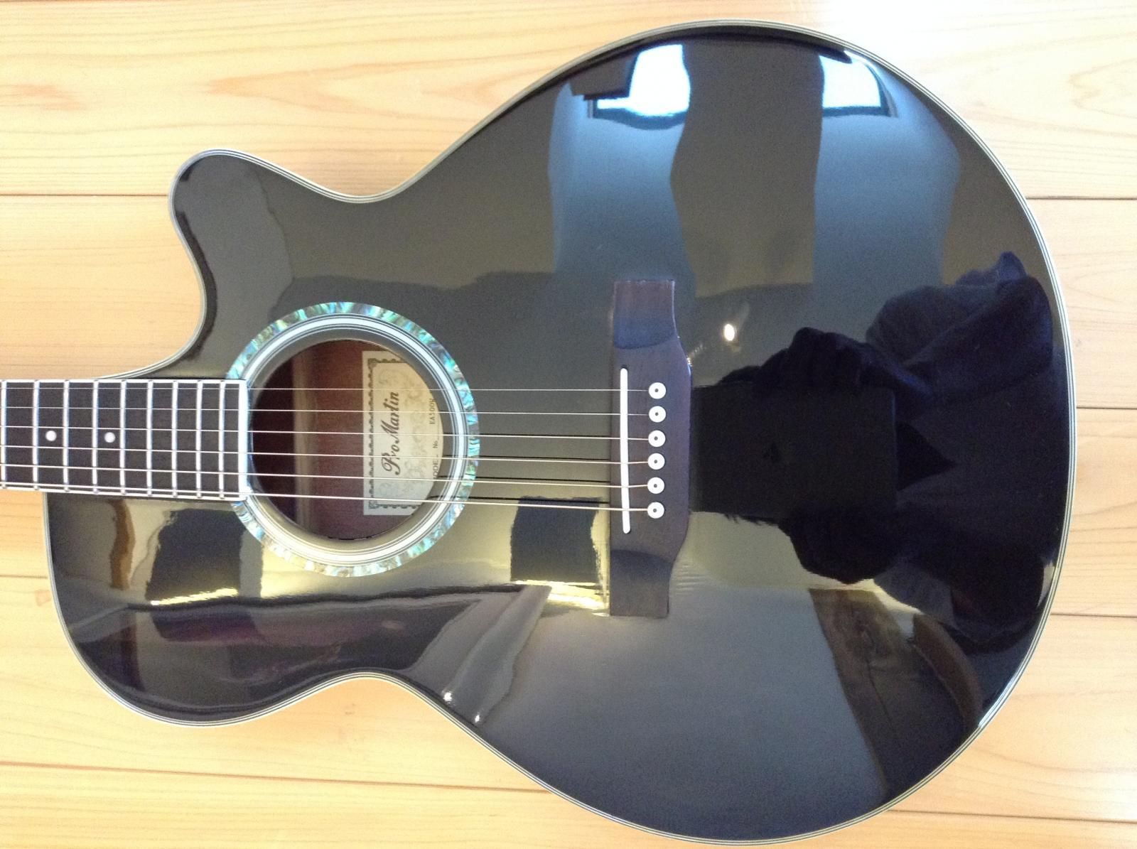 Pro Martin/プロマーチン EA-500W エレアコ 黒 - C・I・K Custom