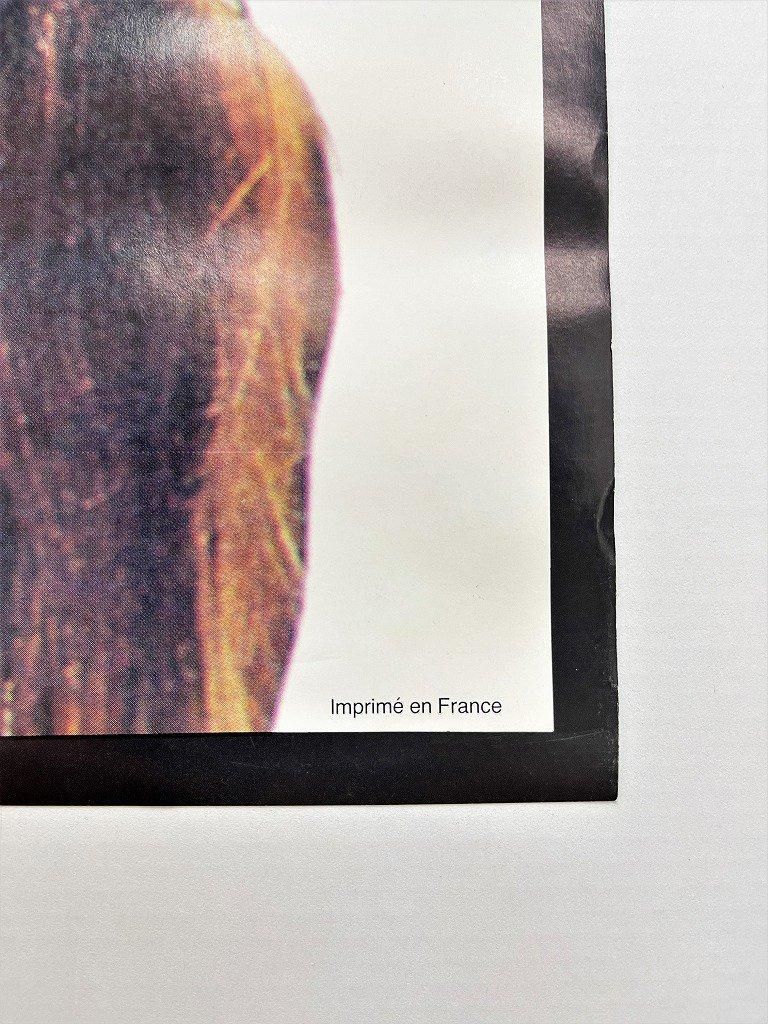 1980's ”Red Hot Chili Peppers” 額入りポスター - アンティーク