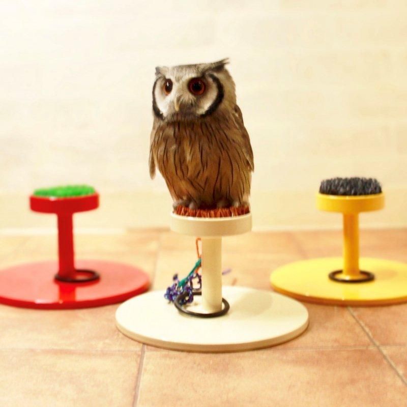 ファルコンブロック用人工芝 SSサイズ - 鳥のいるカフェ ONLINE SHOP