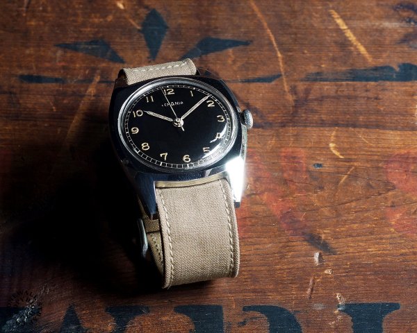 STONEWALL | Canvas Strap 1p