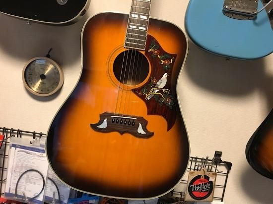 ORVILLE by GIBSON DOVE レアなオービルのDOVE！PU／プリアンプ搭載