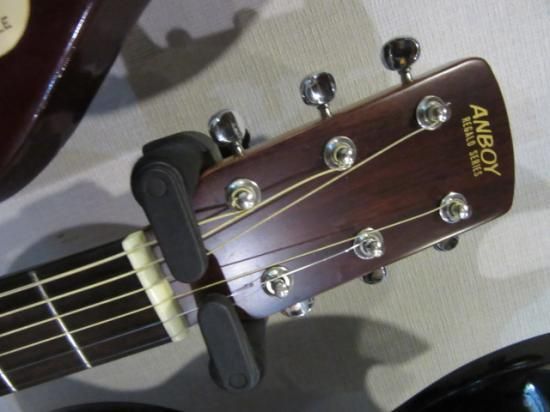ANBOY RE-22 フジゲンの自社ブランドANBOYのミニアコースティック