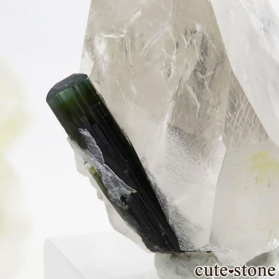 パキスタン産 バイカラートルマリン＆水晶の共生標本（原石）19.6g