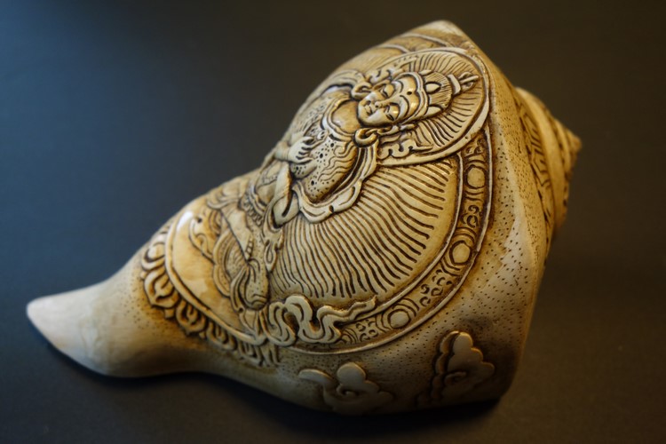 ほら貝・法螺貝・ホラガイ（シャンカ） 持金剛 販売｜大阪 多羅堂