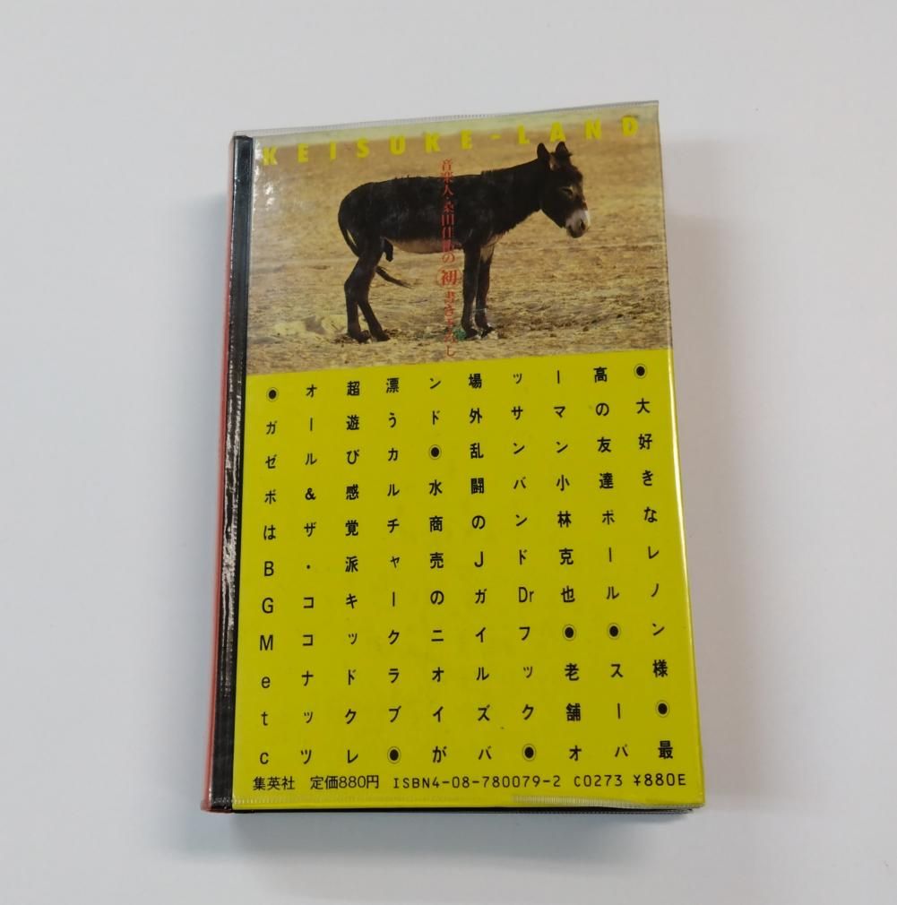 桑田佳祐 ケースケランド オリジナル単行本 桑田佳祐自画像、カセット