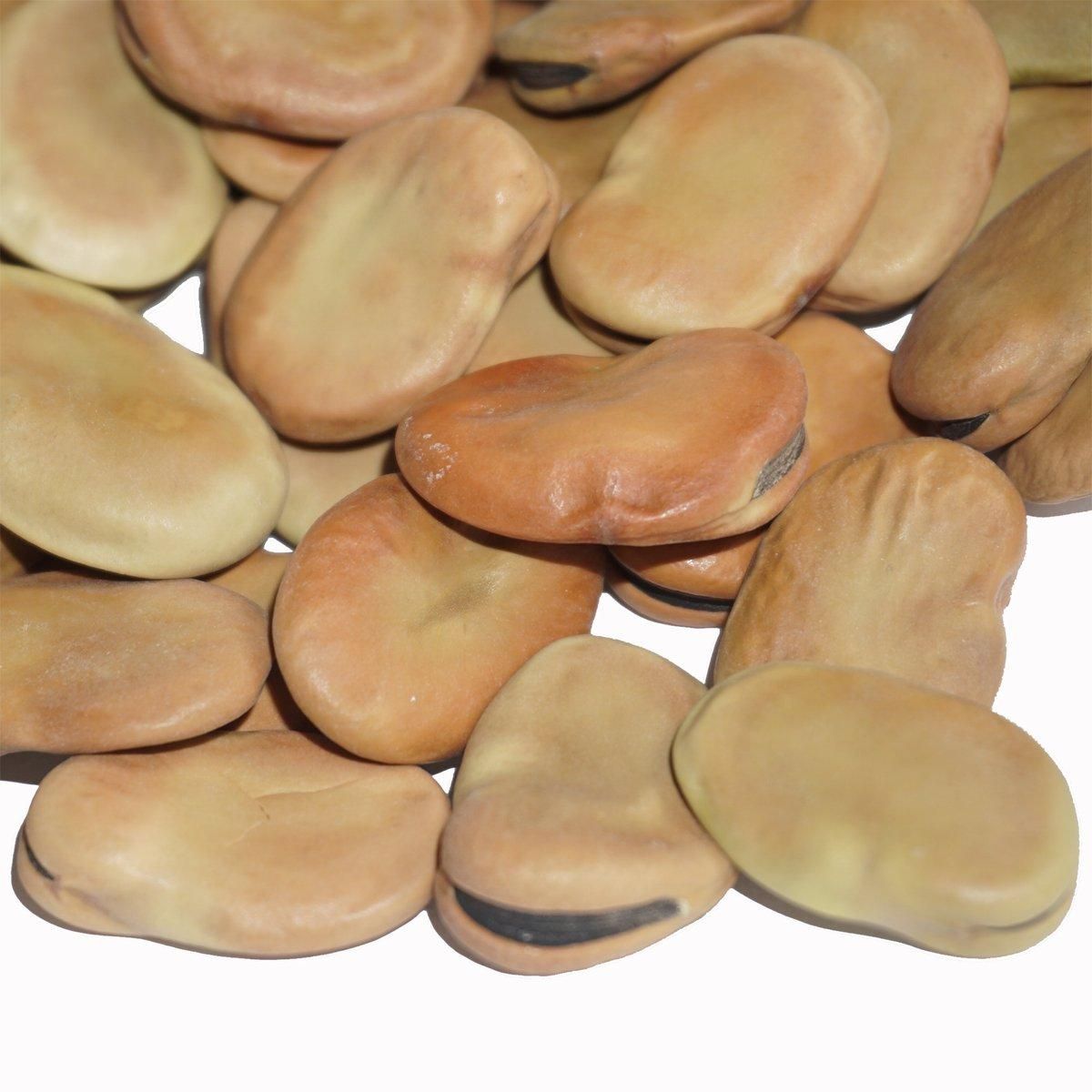 一寸 そら豆 500g ソラマメ 空豆 蚕豆 Broad bean Fava bean お歯黒