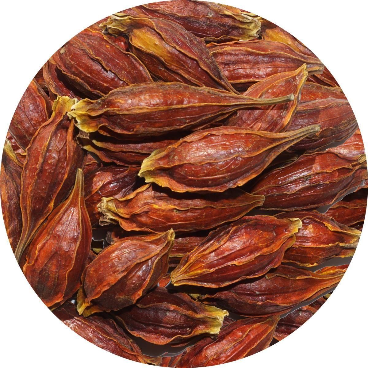 クチナシ 1kg くちなし 梔子 巵子 支子 センプク せんぷく 山梔子 梔子