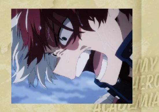 24.轟焦凍 (ノーマル) 】 僕のヒーローアカデミア ぱしゃこれ - トレカ