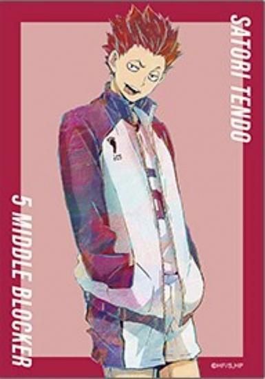 天童覚B】ハイキュー!! トレーディング Ani-Art 第5弾 ブロマイド