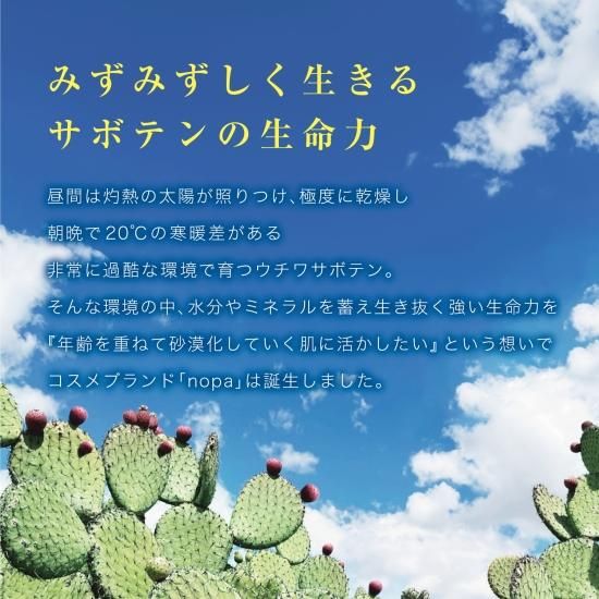 nopa ビューティーボックスセット - nopa-life（ノパライフ