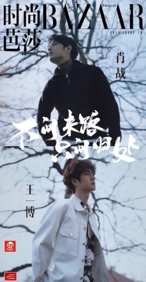電子書籍】BAZAAR＊陳情令特集＊肖戦・王一博表紙 - 華流グッズ