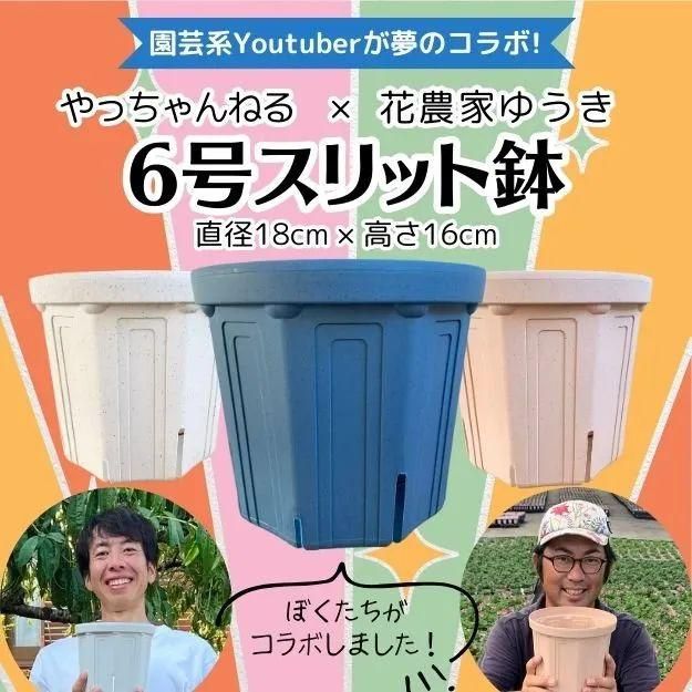 やっちゃんねる×花農家ゆうき コラボ商品 6号スリット鉢 (直径18cm×高