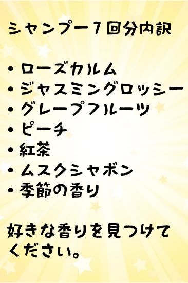 マスターキミーシャンプーお試しセット（お試し郵送送料無料
