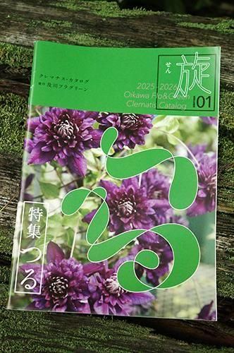 クレマチス専門ナーセリー 及川フラグリーン クレマチス カタログ