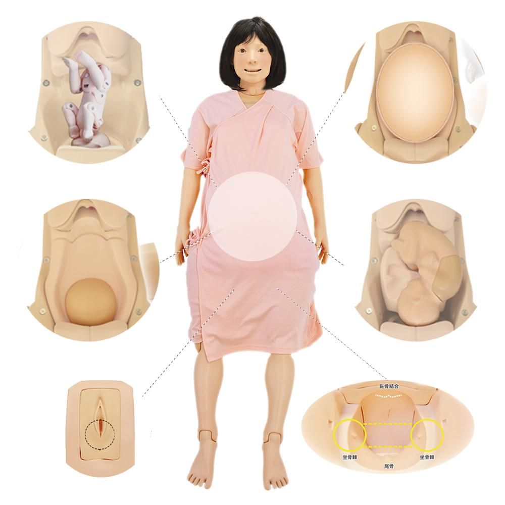 MW44 周産期全身シミュレータ Konoha - 京都科学オンラインショップ