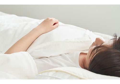 ホルミシスBOOK付き】スリープヘキサゴン ホルミシス 三河木綿