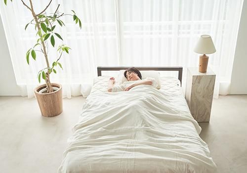 ホルミシスBOOK付き】スリープヘキサゴン ホルミシス 三河木綿