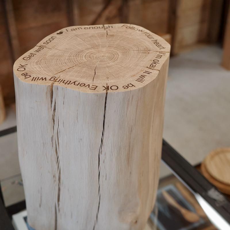 3104 ミズナラ 水楢 天然木 切り株 丸太 輪切り 高さ約28㎝ ミズナラ