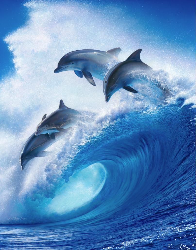 INTO THE BLUE | クリスチャン・ラッセン | アート・オブ・ライフ 株式