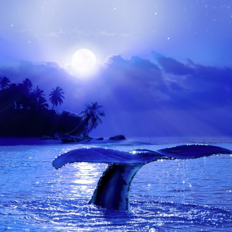 MYSTICAL LIFE OF SEA | クリスチャン・ラッセン | アート・オブ