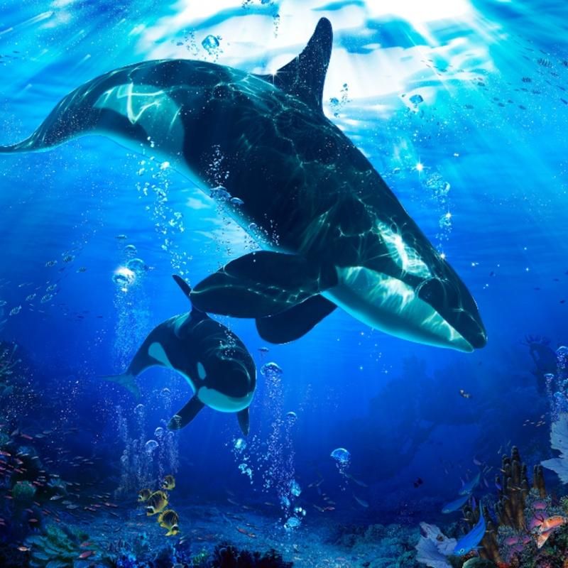 MOTHERS DEVOTION II | クリスチャン・ラッセン | アート・オブ