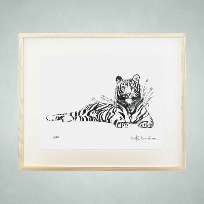 Tiger Sketch | クリスチャン・ラッセン | アート・オブ・ライフ 株式