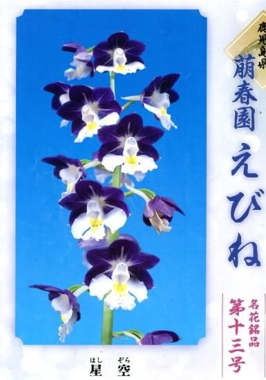 178943565.jpg?cmsp_timestamp=