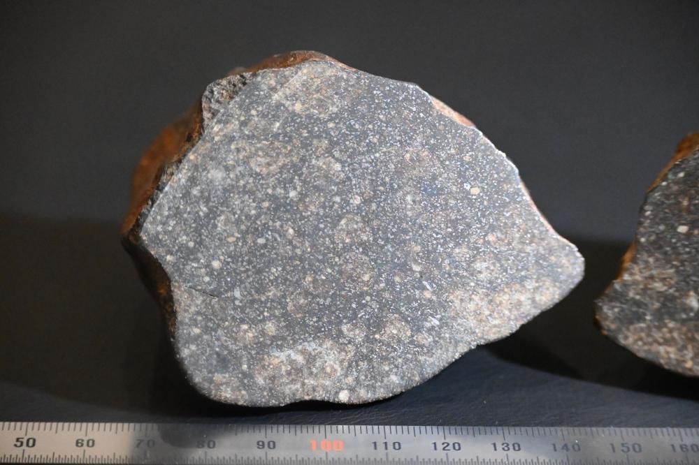 NWA 未分類普通コンドライト