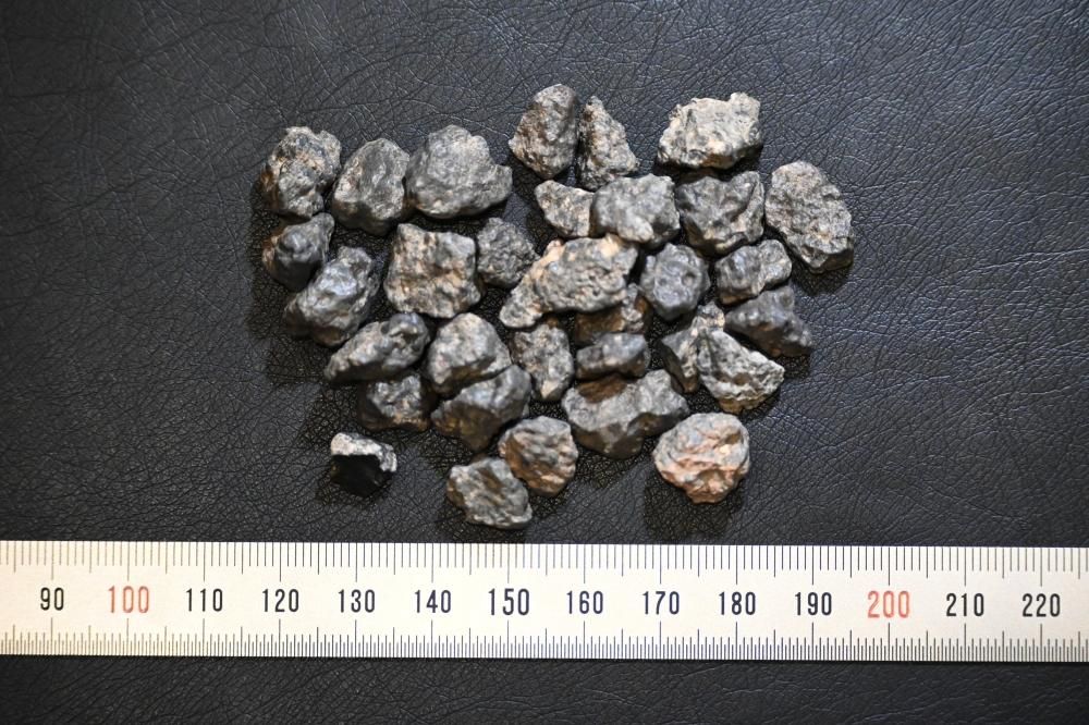 ベシャール003 Bechar003