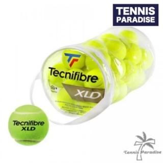 箱入りボール - TENNIS PARADISE