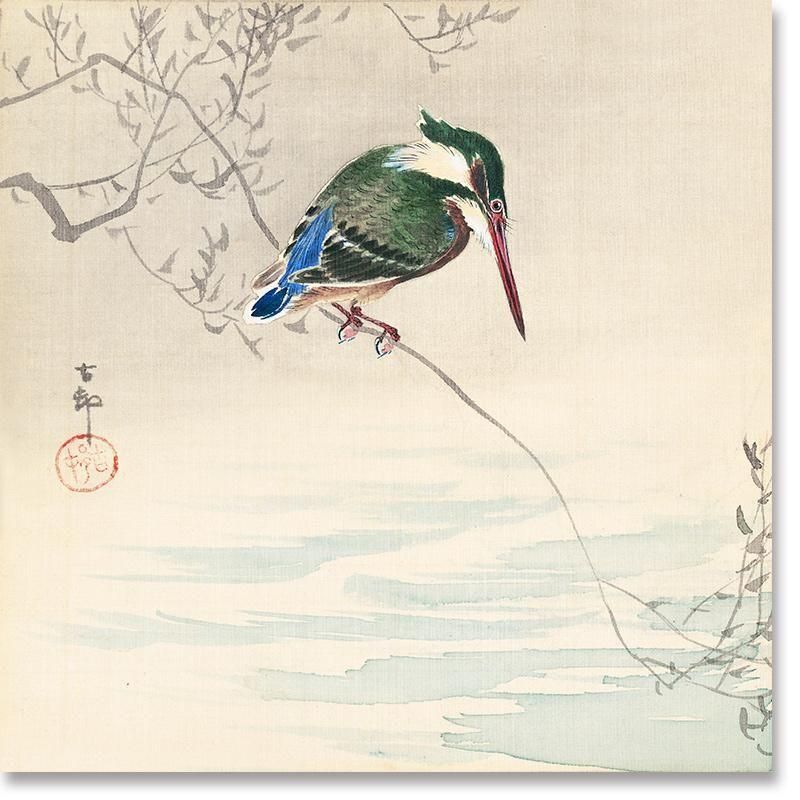 翡翠 | カワセミの静寂 - ROSSO GRAFICO