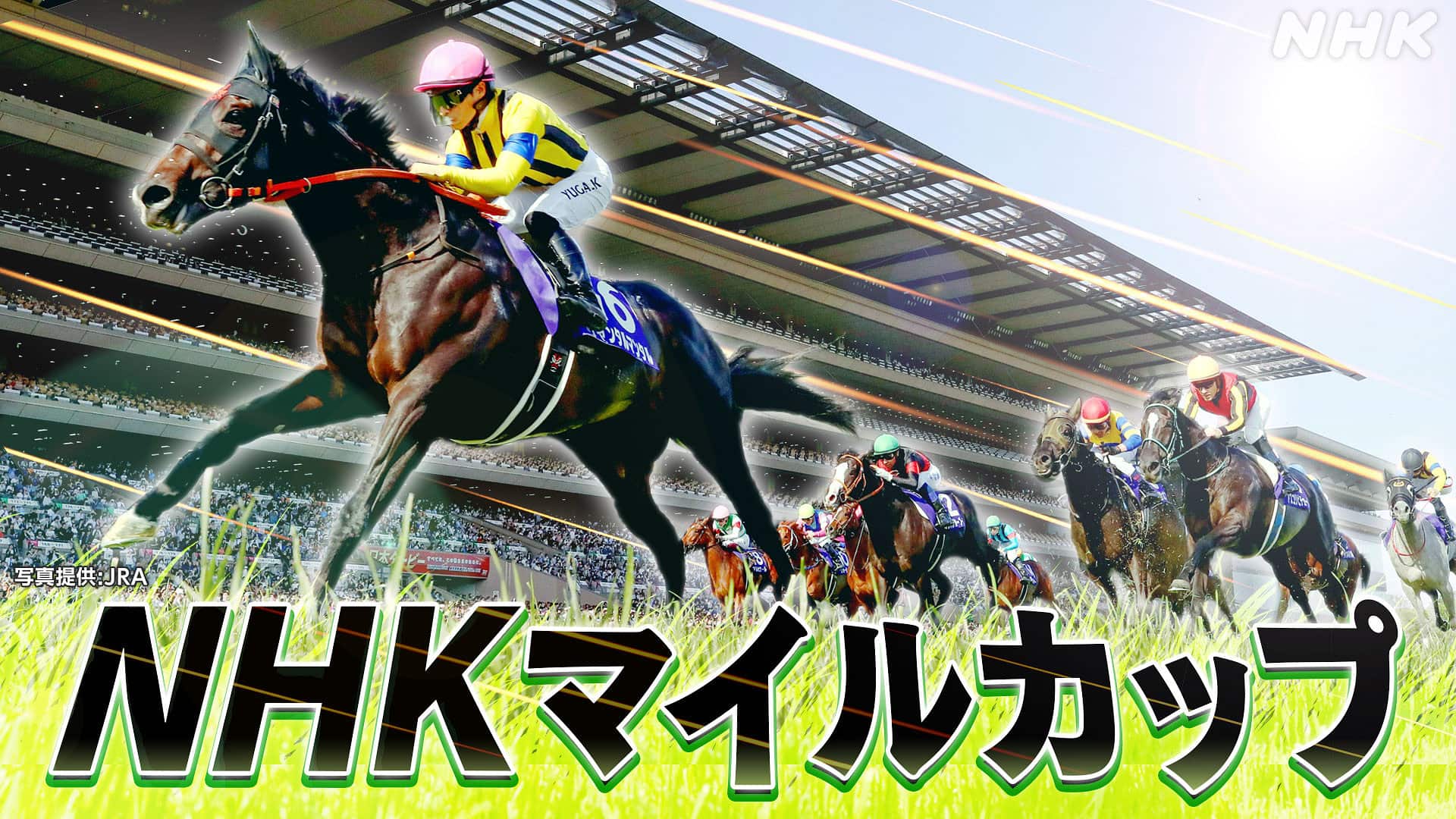 2025年第45回ジャパンカップ＆第92回日本ダービー 貴賓室セット 2025年