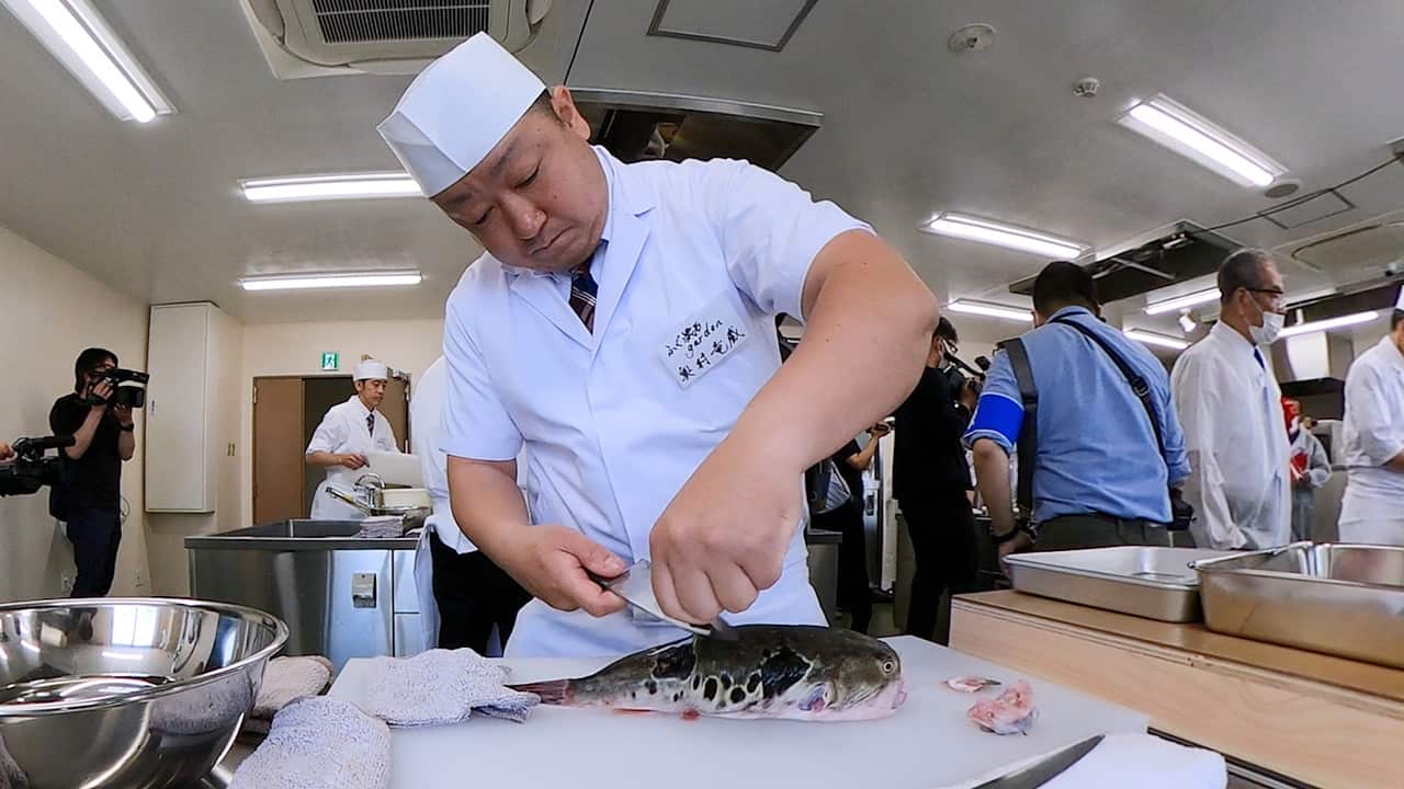 第一回 全日本ふぐ調理技術大会」 | ニッポン知らなかった選手権 実況