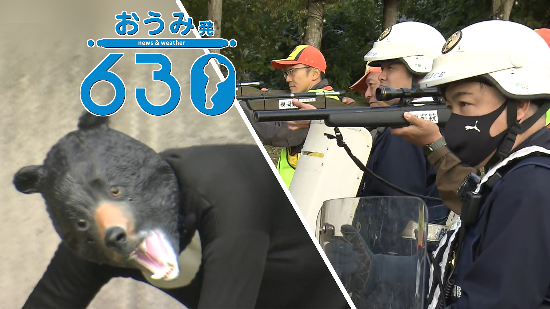 熊々様 相談用 熊々様 相談用 くま 予約販売：6月上旬～7月上旬 お届け