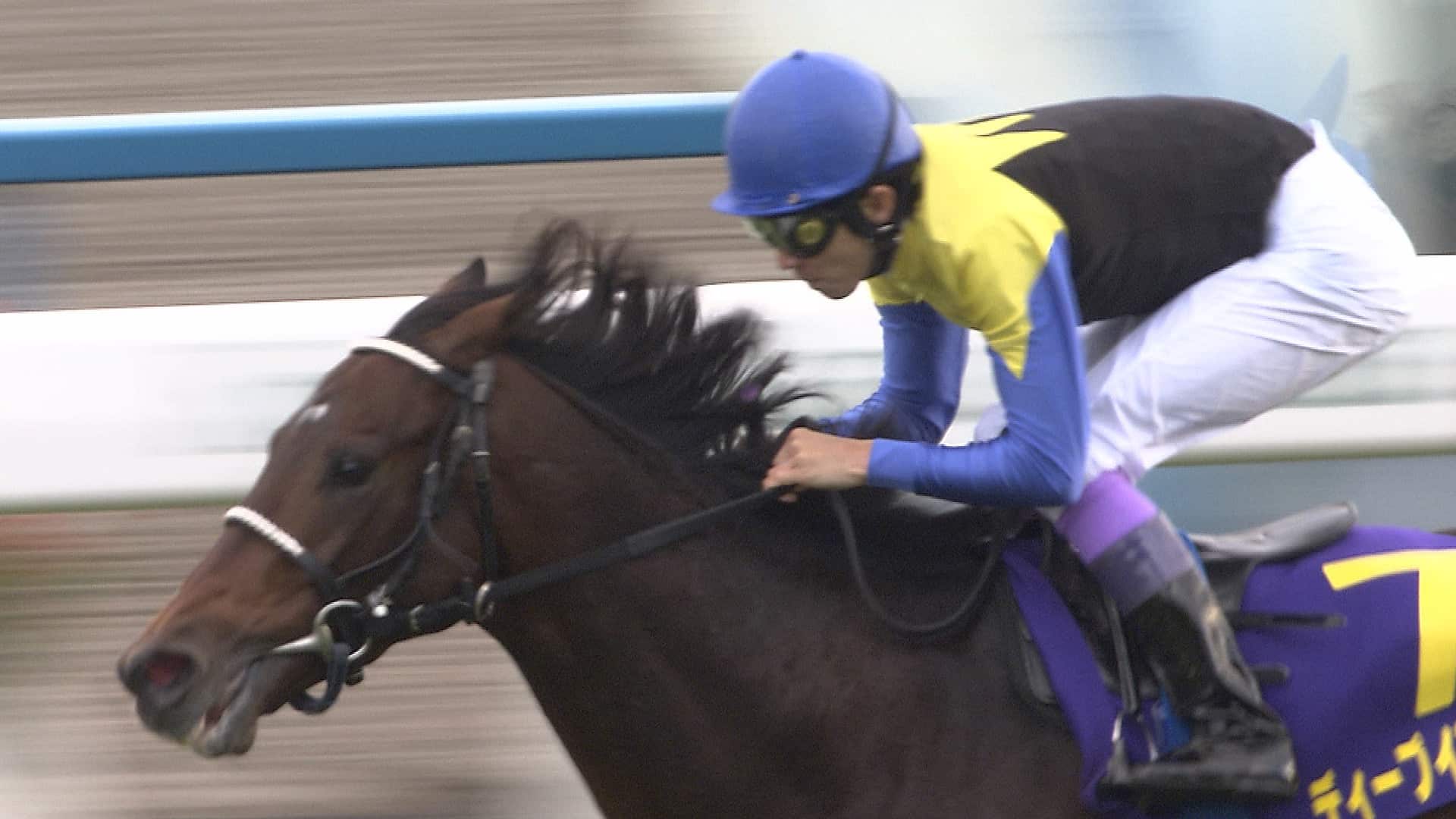 激走モンブラン! 166km山岳レース(2009年) | 4Kプレミアムカフェ | NHK