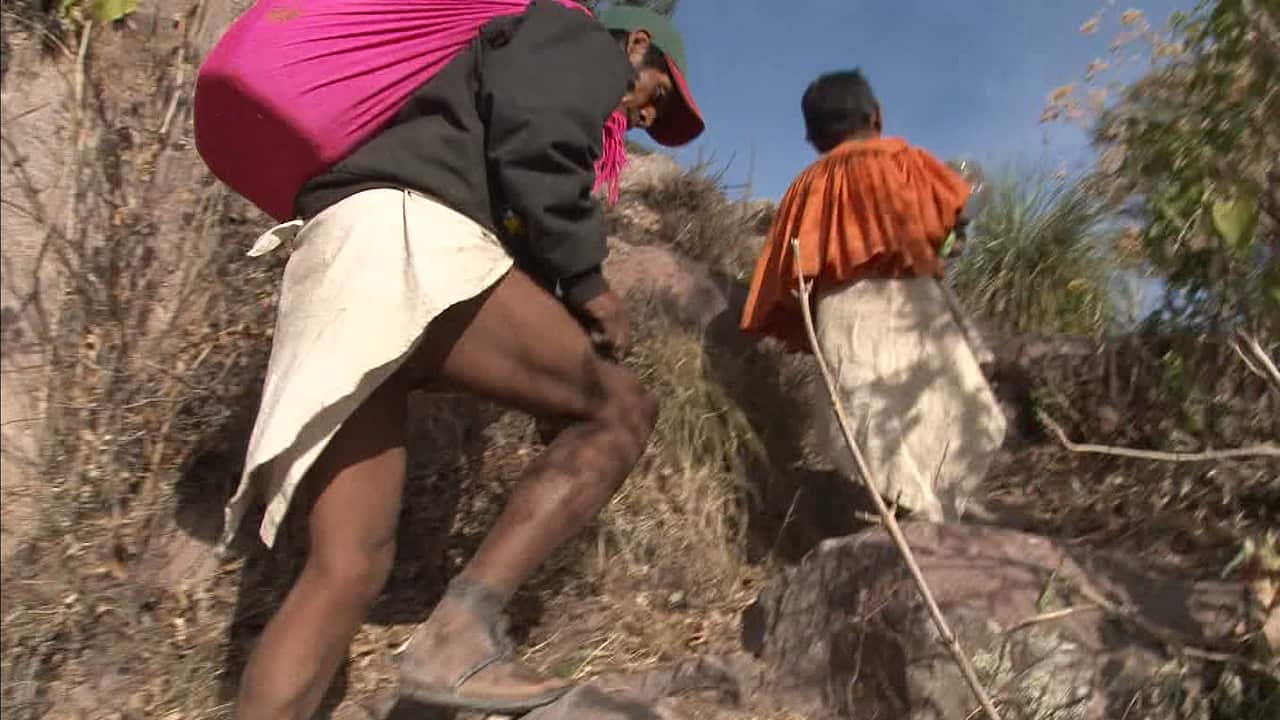 激走モンブラン! 166km山岳レース(2009年) | 4Kプレミアムカフェ | NHK