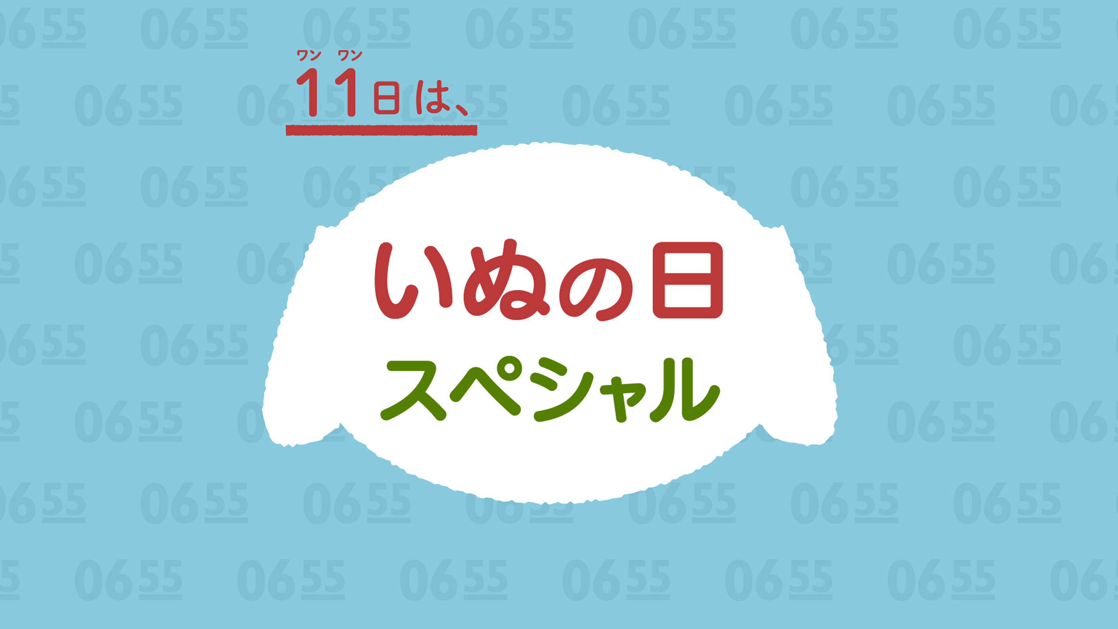 水曜日 | Eテレ0655 | NHK