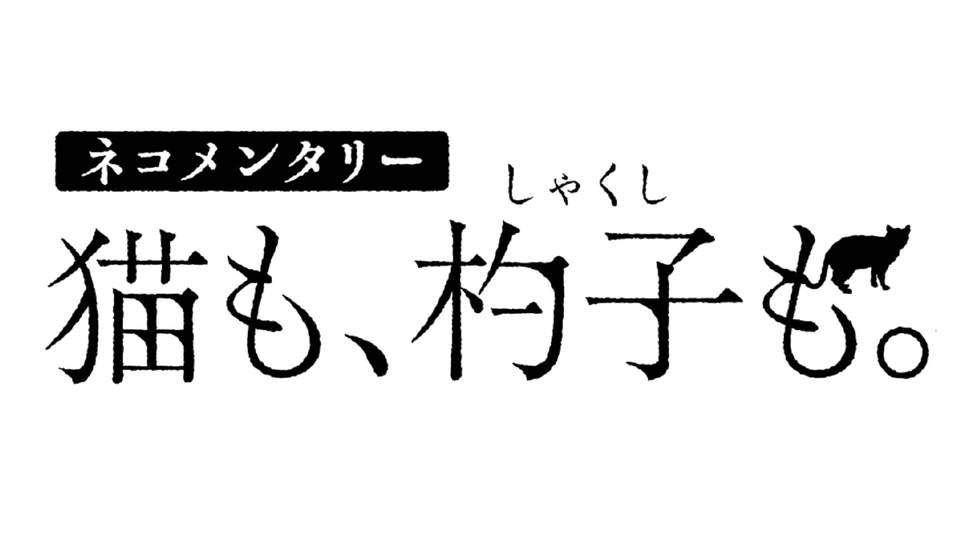 ネコメンタリー 猫も、杓子(しゃくし)も。 | NHK