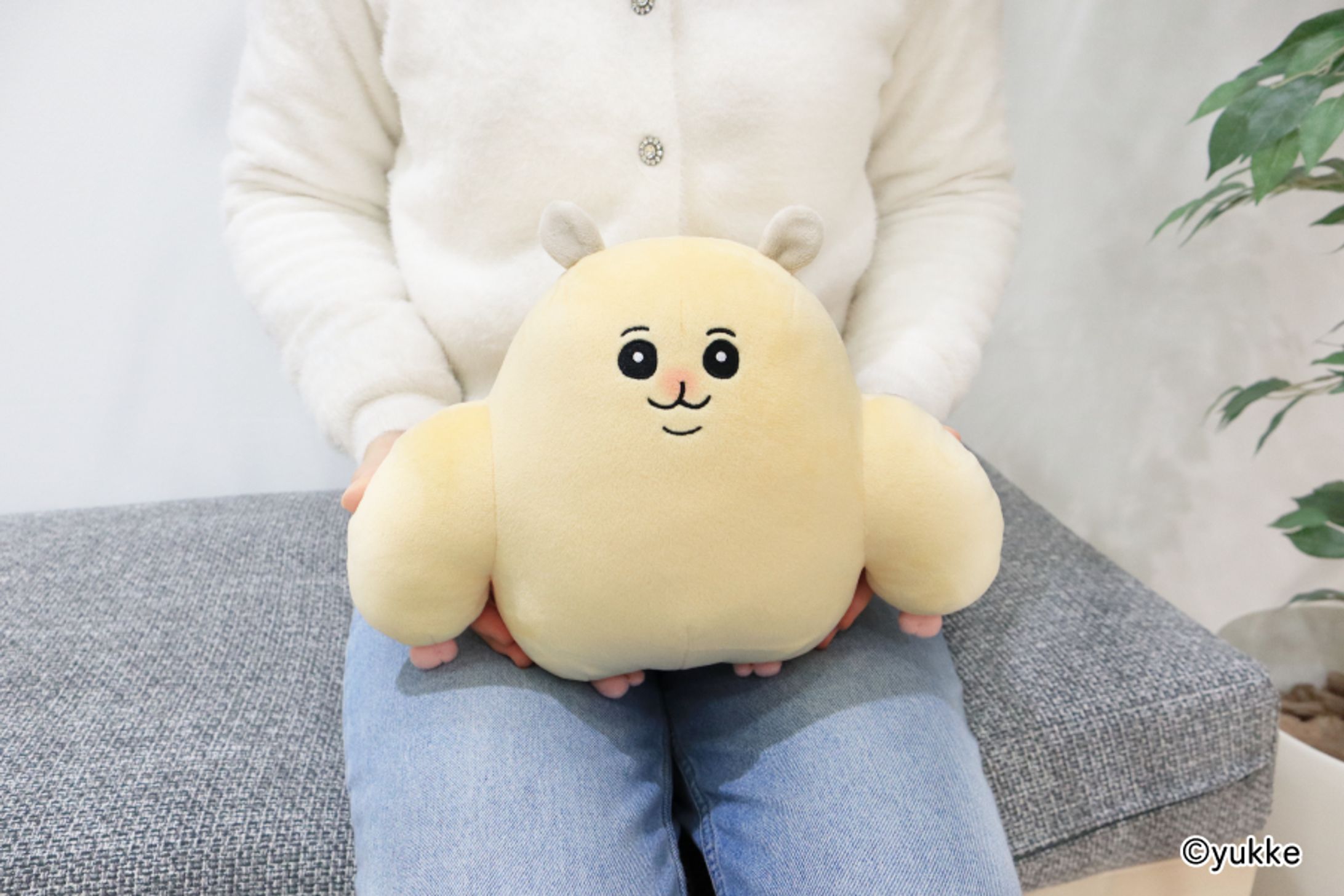 ムキムキのハムちゃん＆ほがらかいぬねこ BIGぬいぐるみ