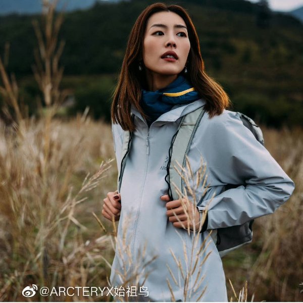 ARCTERYX Kadin Hoody Women's 450.00