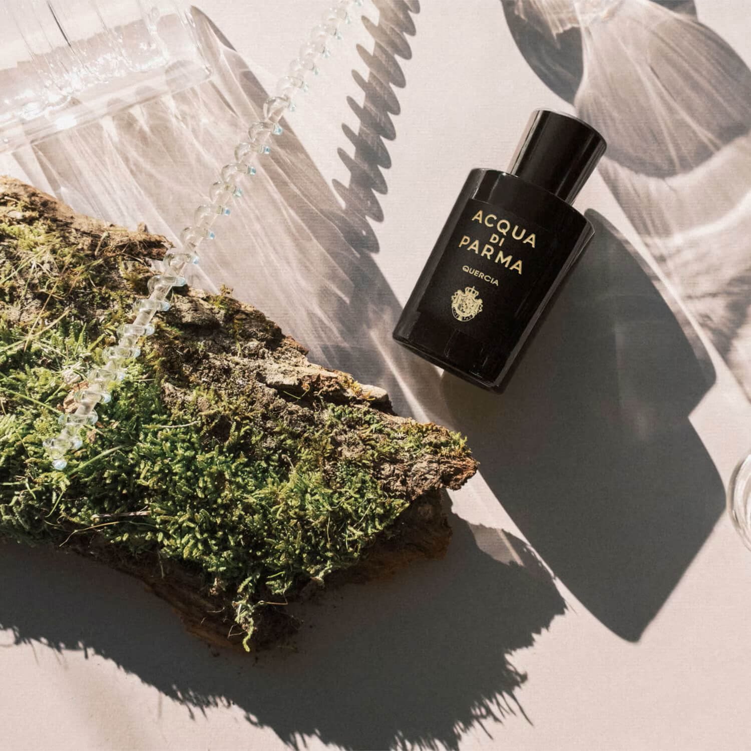 Acqua di Parma Quercia for $17.95 per month | Scentbird