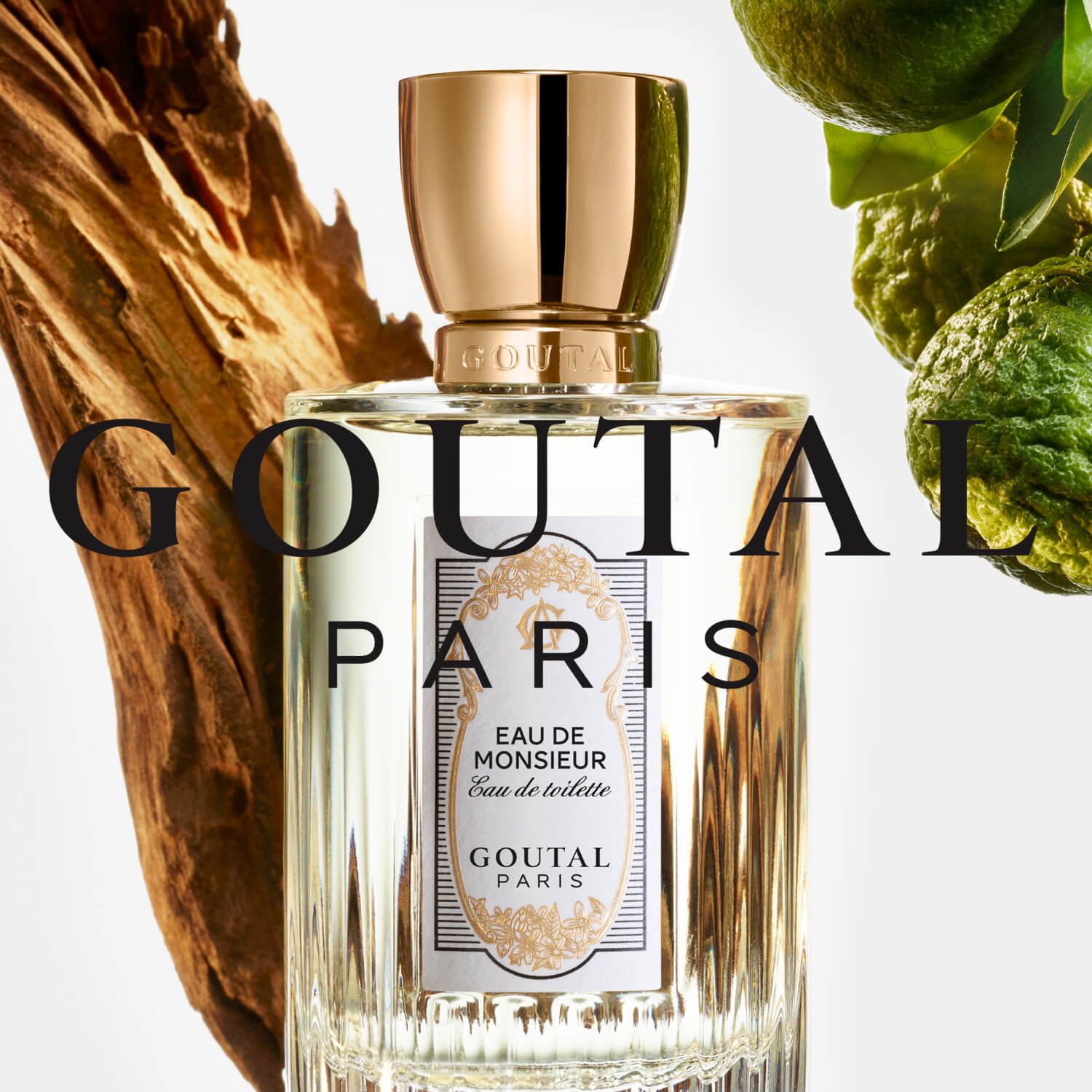 Goutal Paris Eau de Monsieur for $17.95 per month | Scentbird