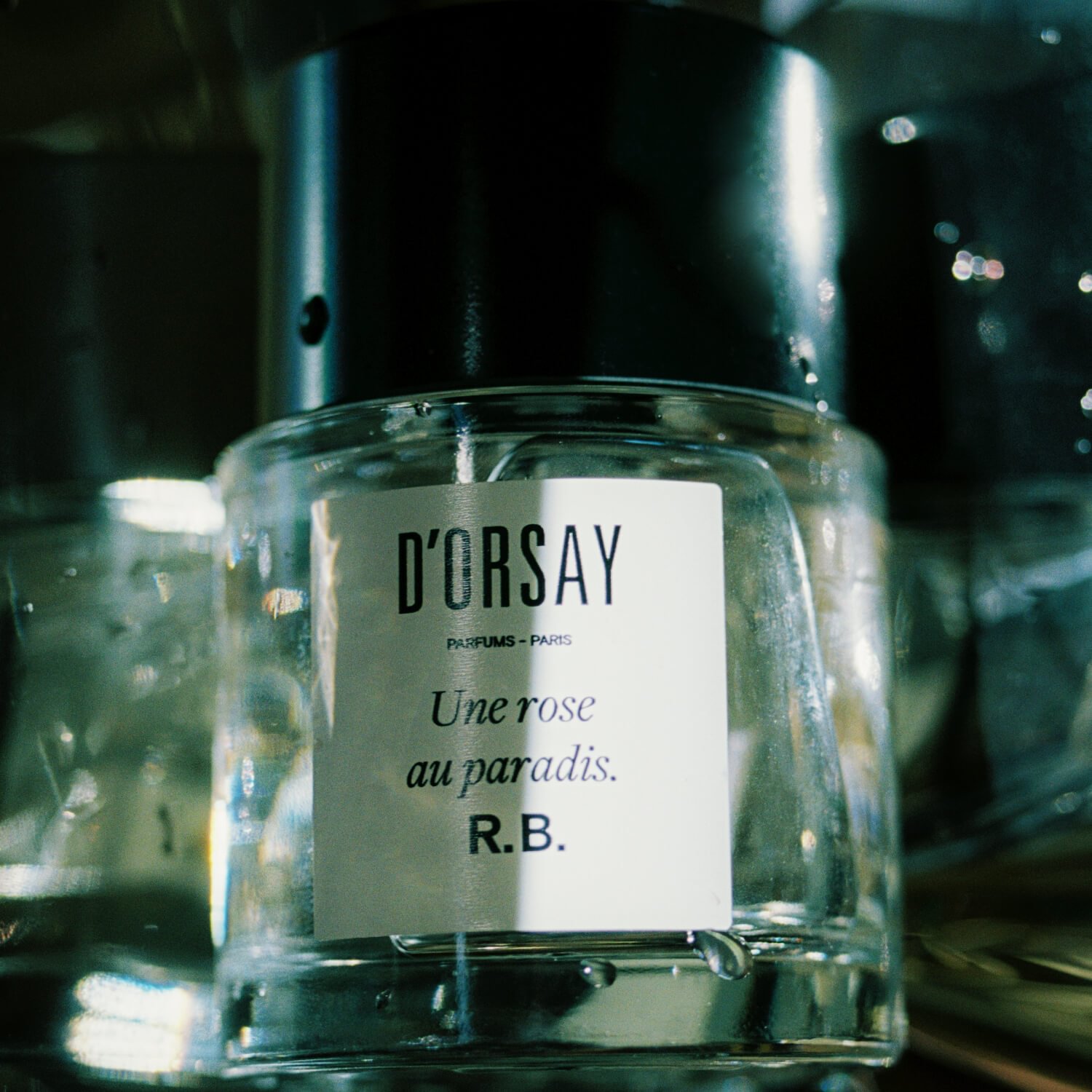 D'Orsay Une rose au paradis R.B. for $17.95 per month | Scentbird