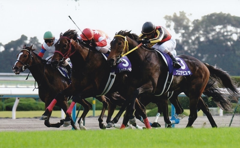 2/2 10月の注目レース～三冠最終戦と伝統の中距離G1～ [競馬] All About