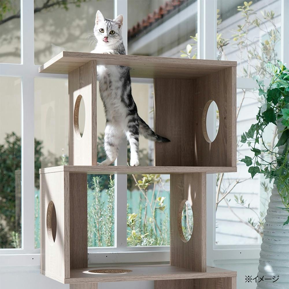 MOKUTA キャットジョイントシェルフ | ペット用品（猫） 通販